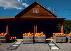 Pappelina Ella Matte 70x300 Cm, Black/Vanilla -Sommer Stil Boutique pappelina ella matte 70x225 cm black vanilla 2 3