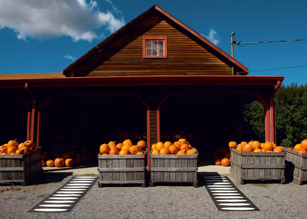 Pappelina Ella Matte 70x150 Cm, Black/Vanilla 5 Pappelina Ella Matte 70x150 Cm, Black/Vanilla – Bild 3