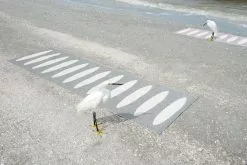 Pappelina Ella Matte 70x300 Cm, Black/Vanilla -Sommer Stil Boutique pappelina ella matte 70x225 cm black vanilla 3 3